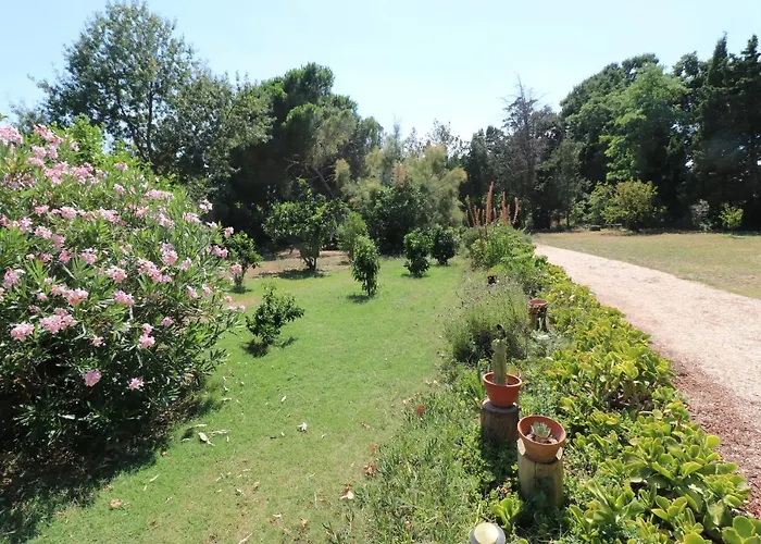Duplex 130M2 Dans Un Mas Entoure De Vergers - Piscine